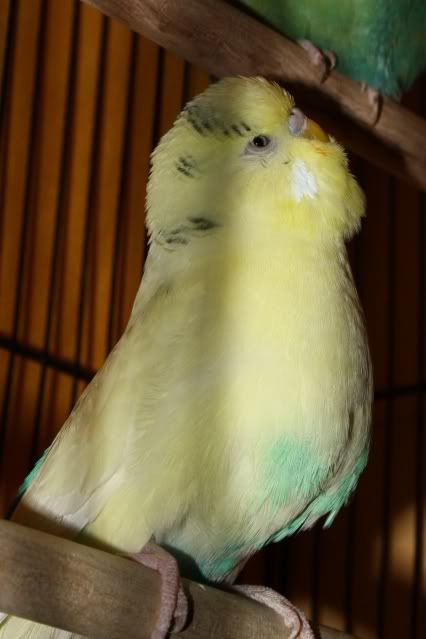 IMG_01f98.jpg