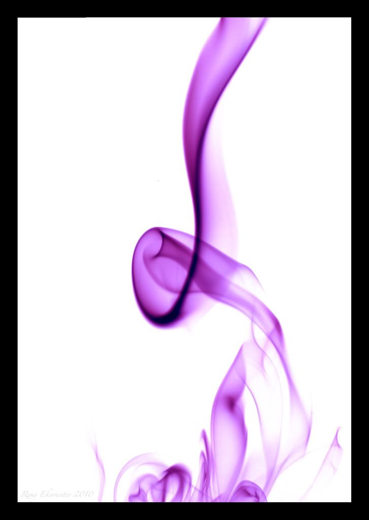 purpleonwhite-web.jpg