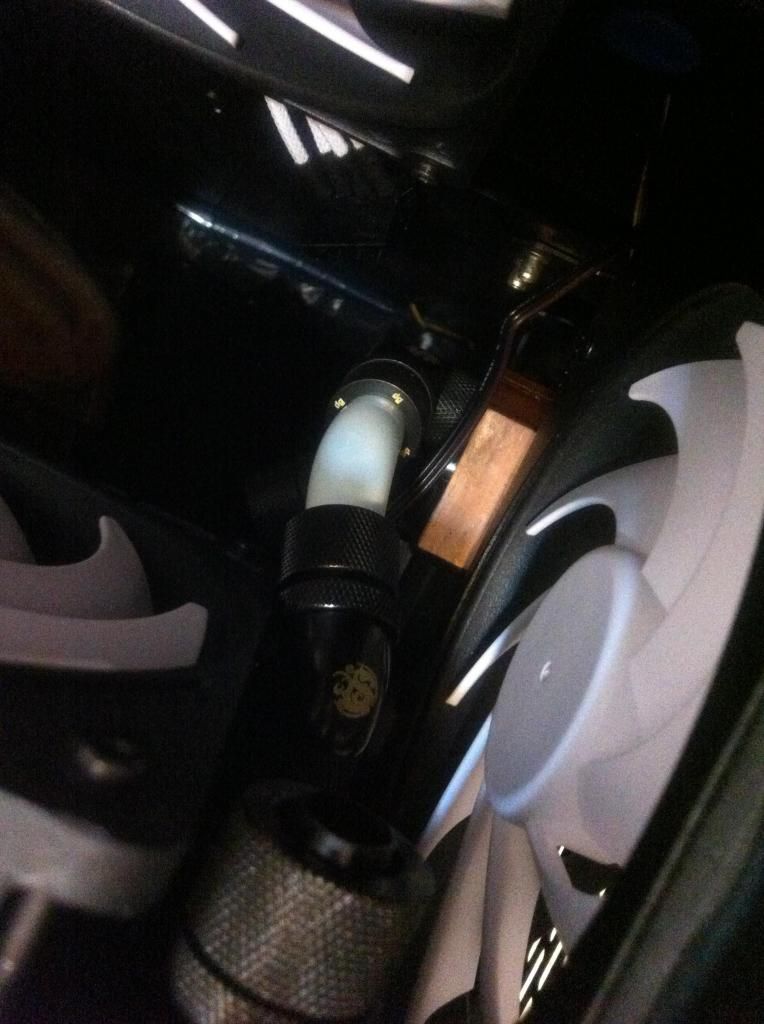 photo2_zps1be43ec1.jpg
