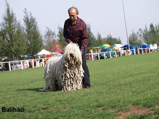 Derk08.jpg