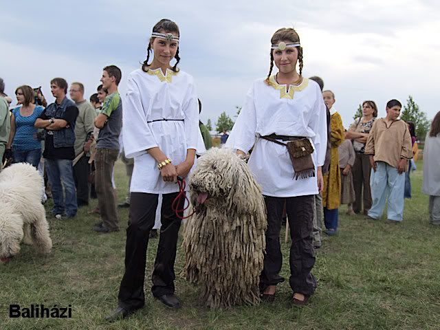 fnpsz06.jpg