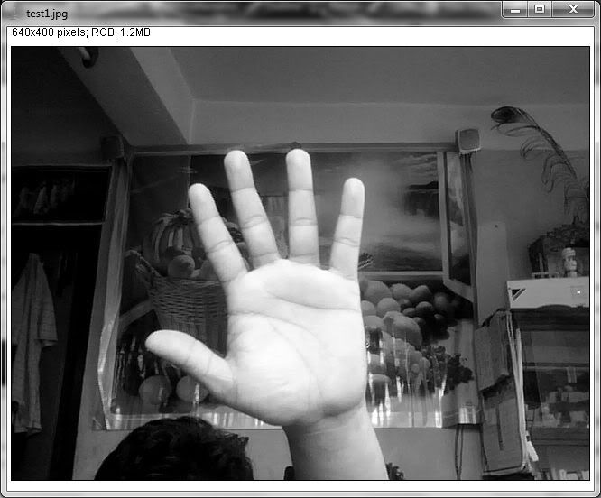 Test photo: Hand