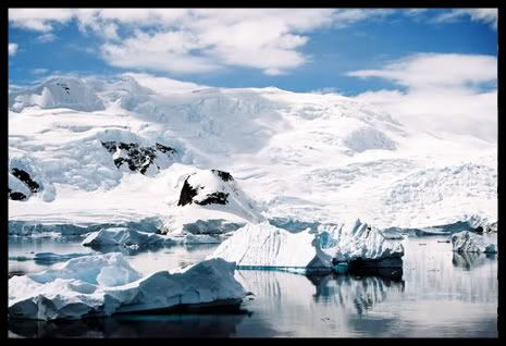 Antarctica photo: Antarctica antarctica.jpg