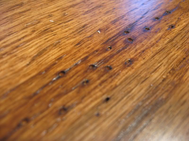 Closeup of holes Closeup of holes