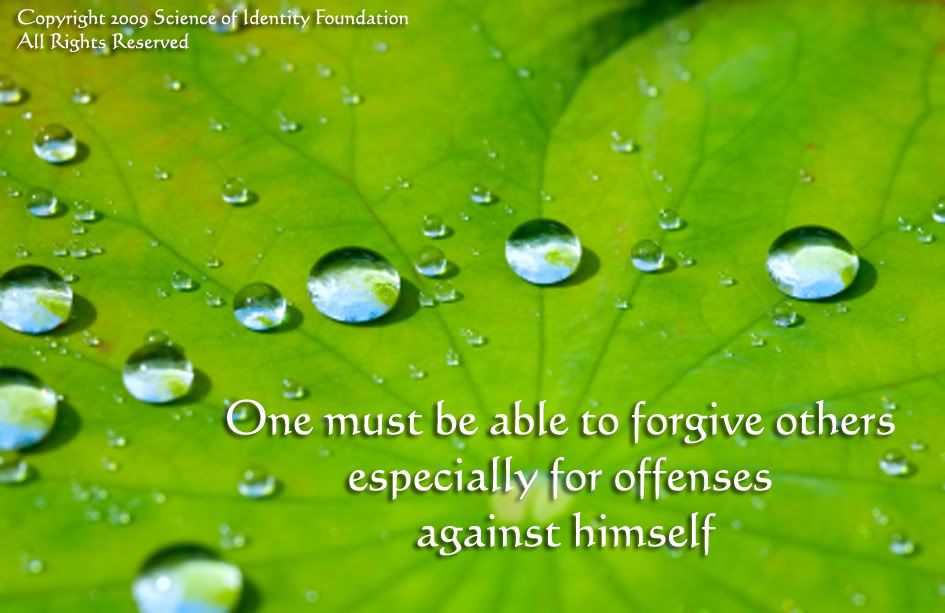 bible quotes on forgiveness. Forgiveness Quotes lt;/agt;