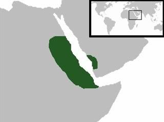 Axum Map 2
