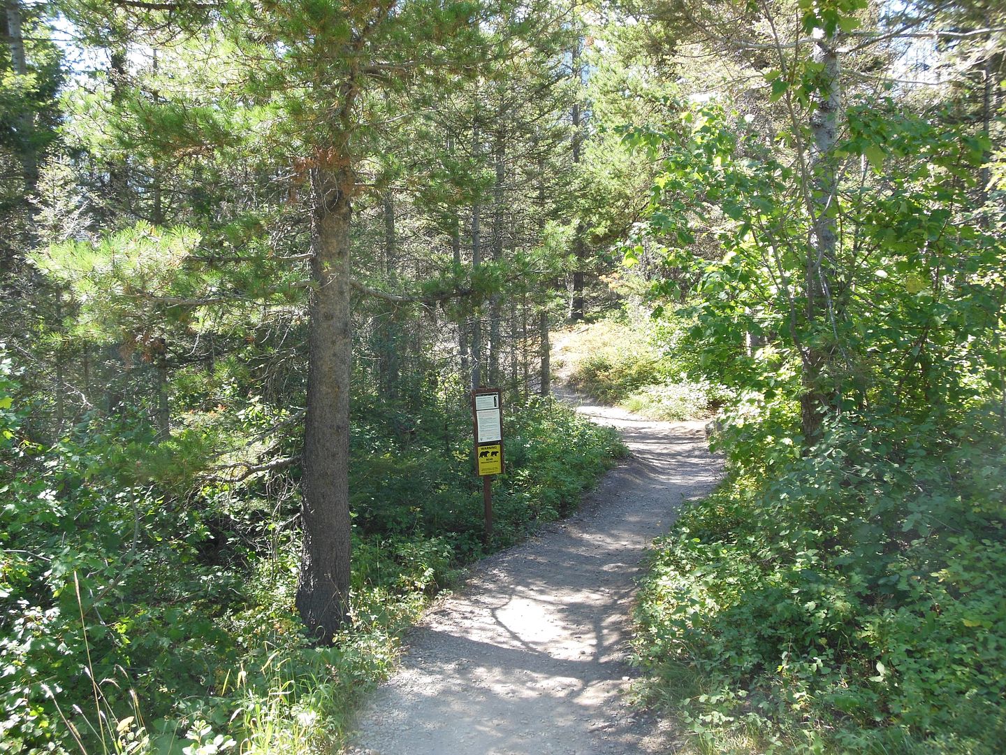Trail 3701