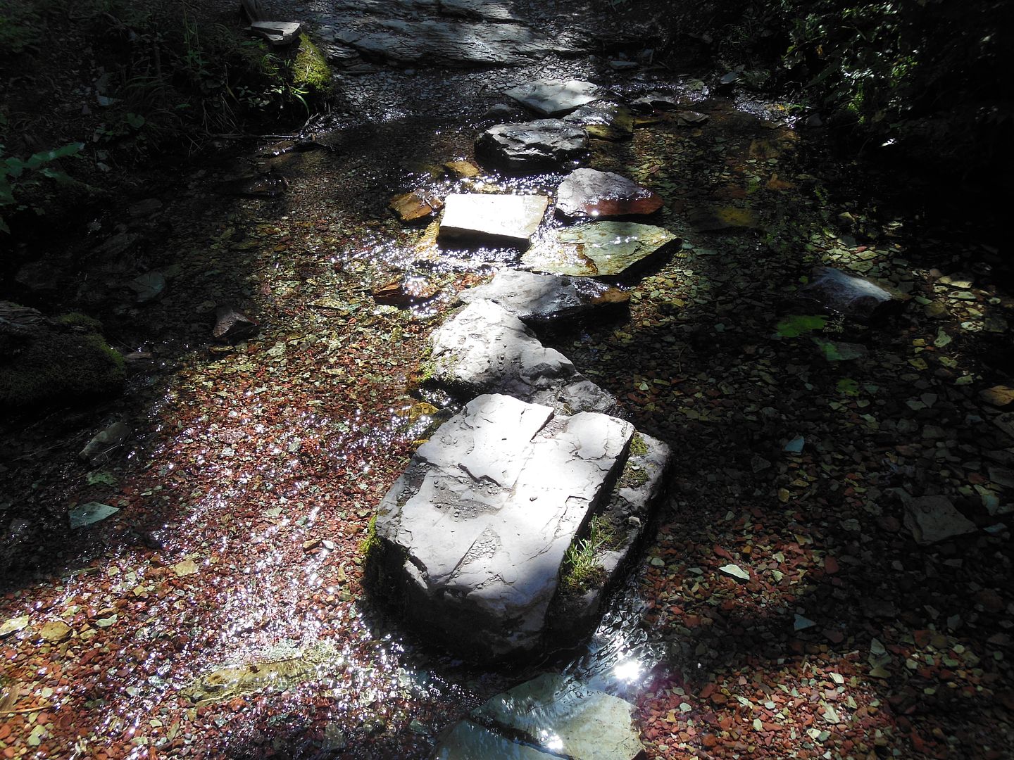 stream trail 3728