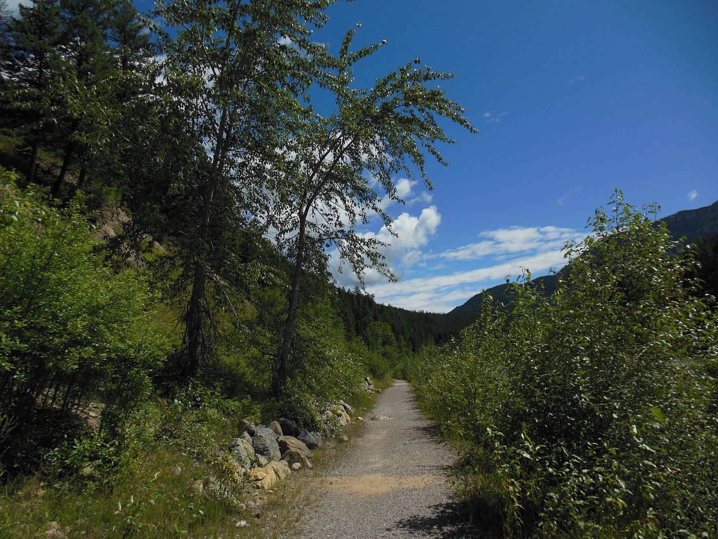 Trail 3164