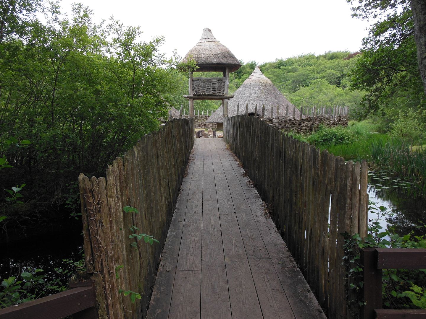 Crannog 1826