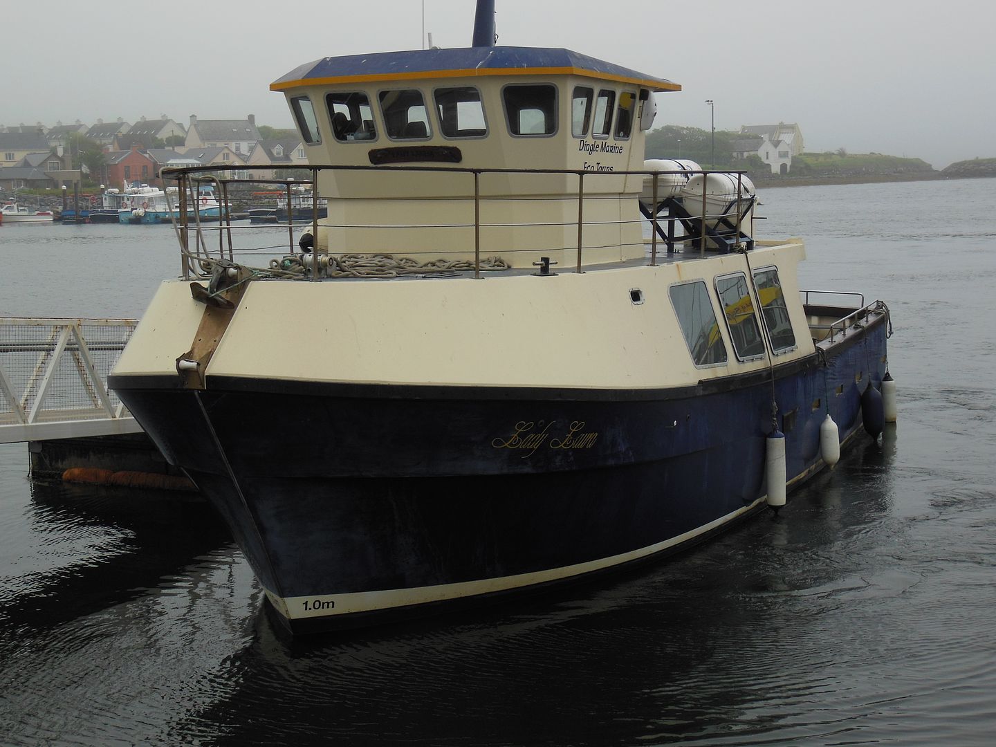Dingle Boat 1421