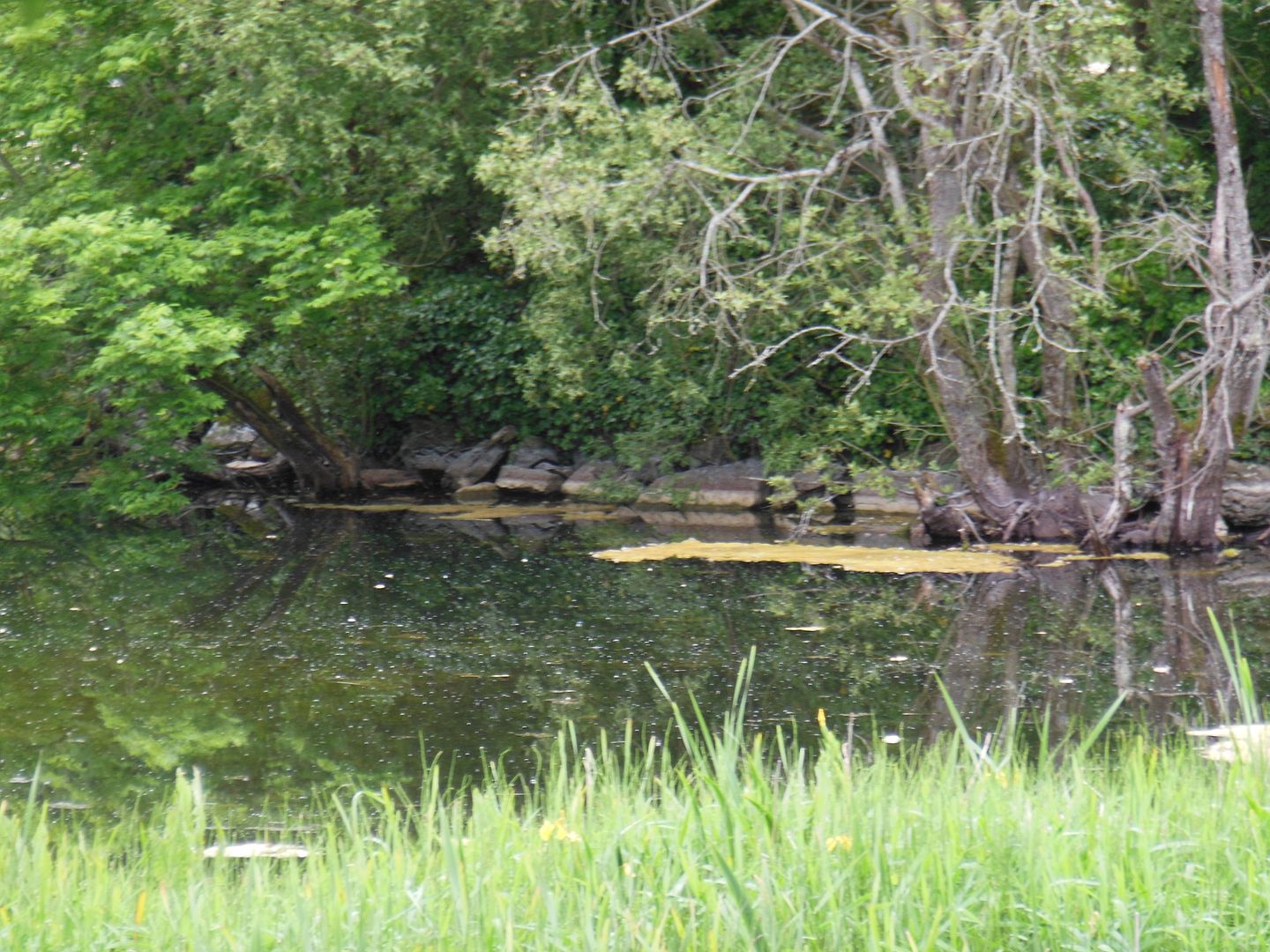 Crannog 1712