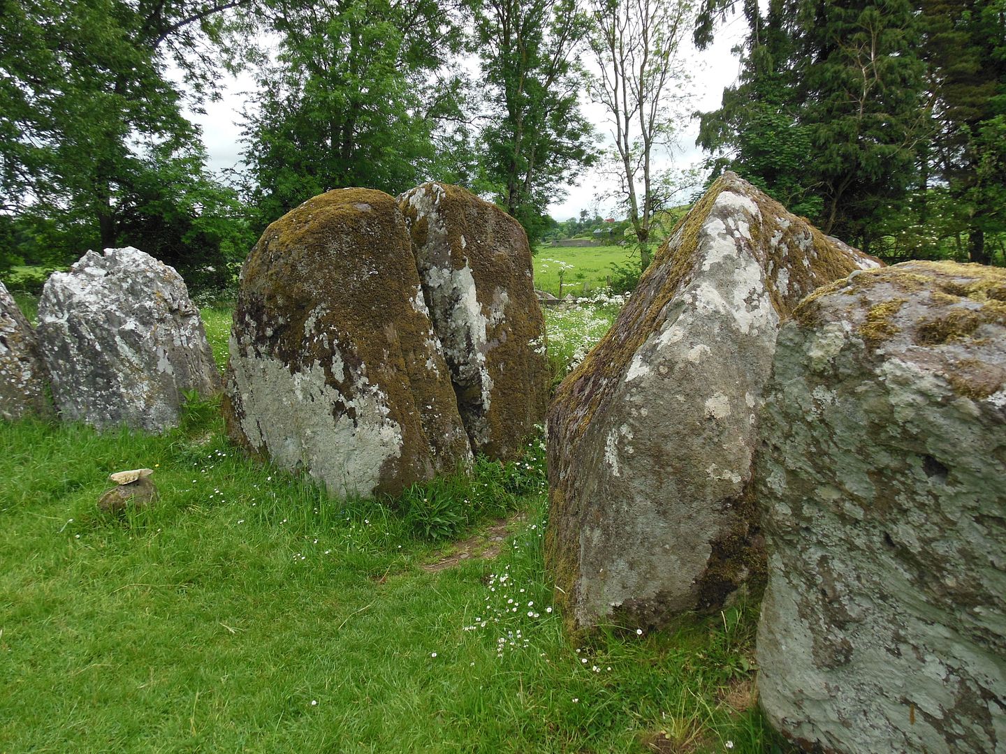 stones 1729
