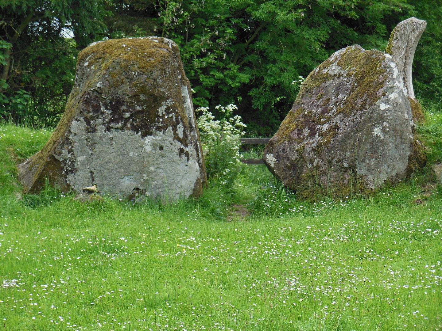 Stones 1745