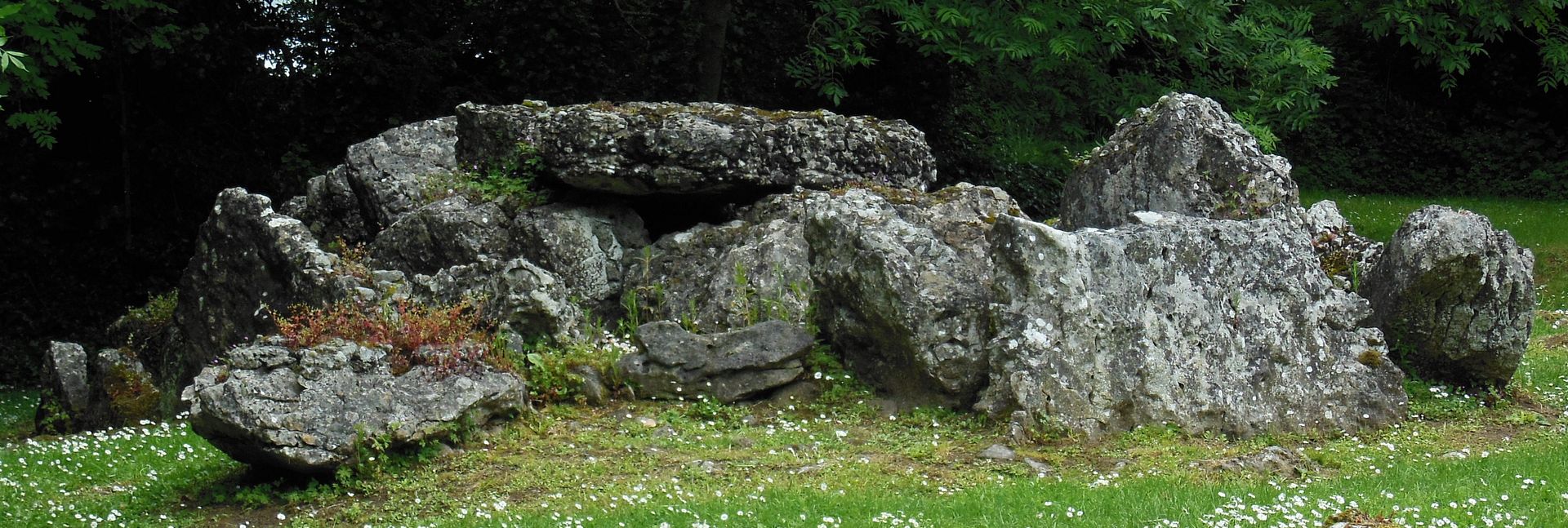 Wedge Tomb 1608