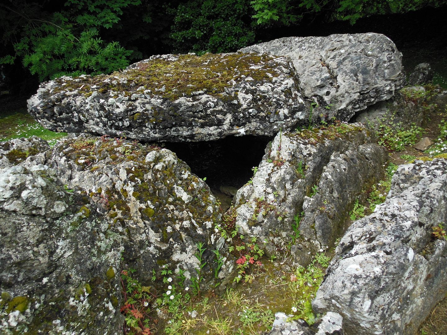 tomb 1609