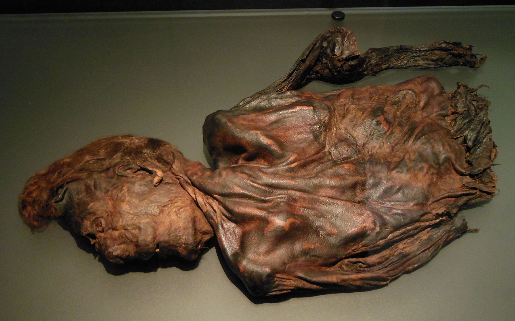 Bog Body 534