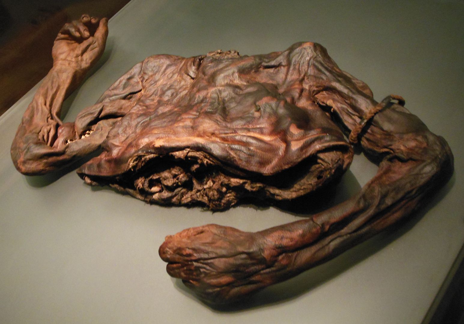 Bog Body 535