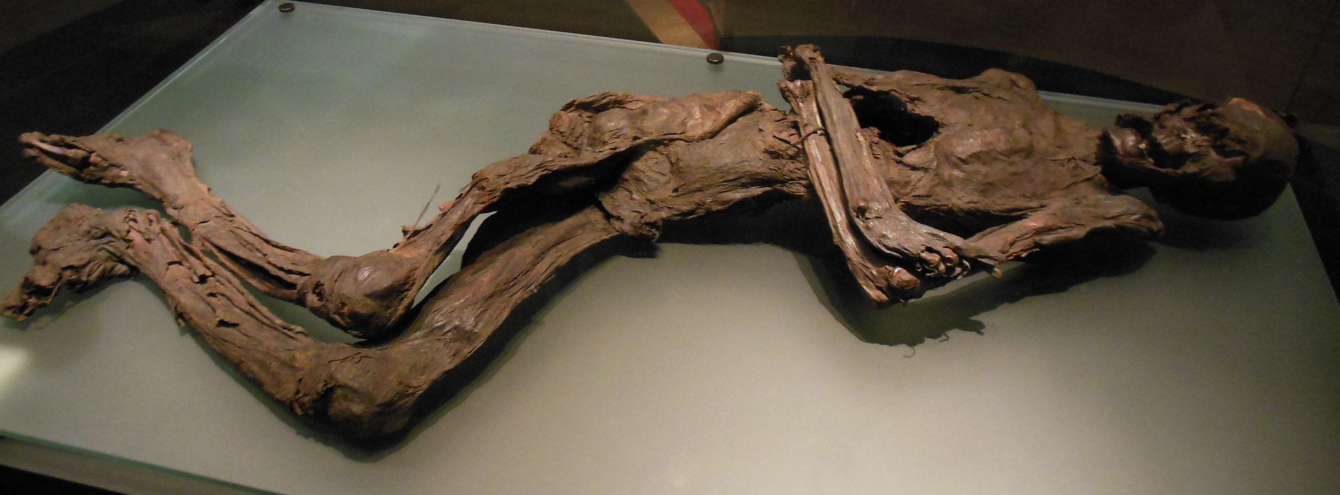 Bog Body 541