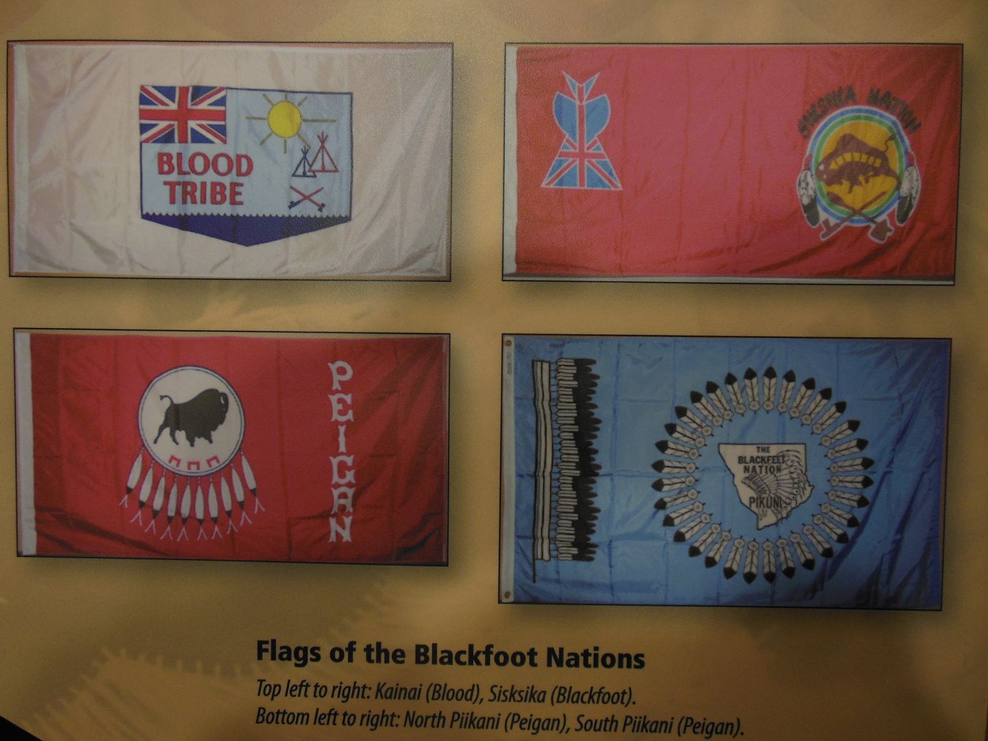 Blackfoot Flags