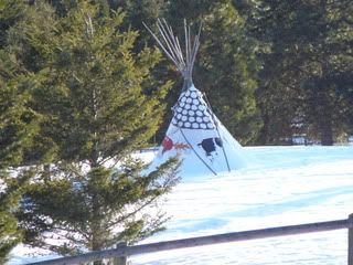 tipi