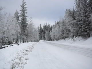 Lake M road