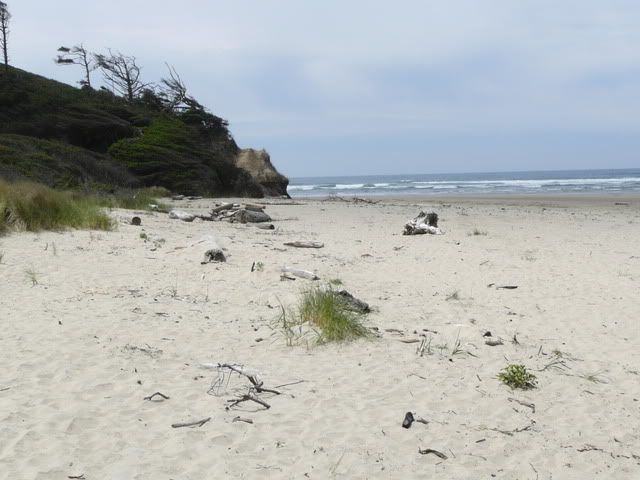 Ona Beach 1