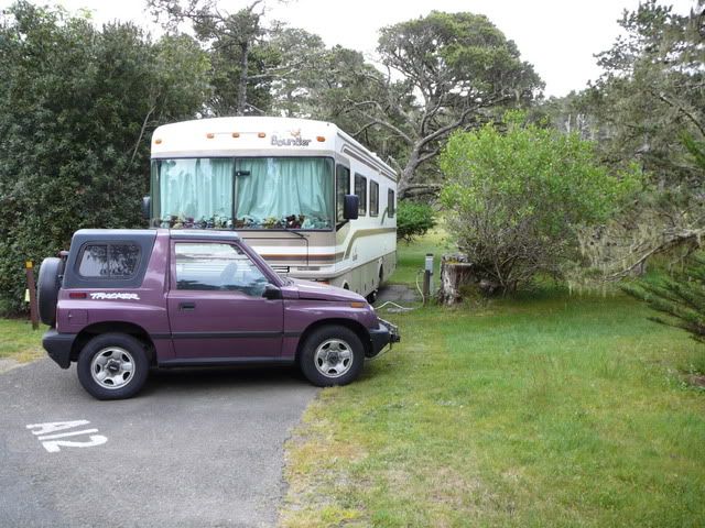 Bullards Beach campsite