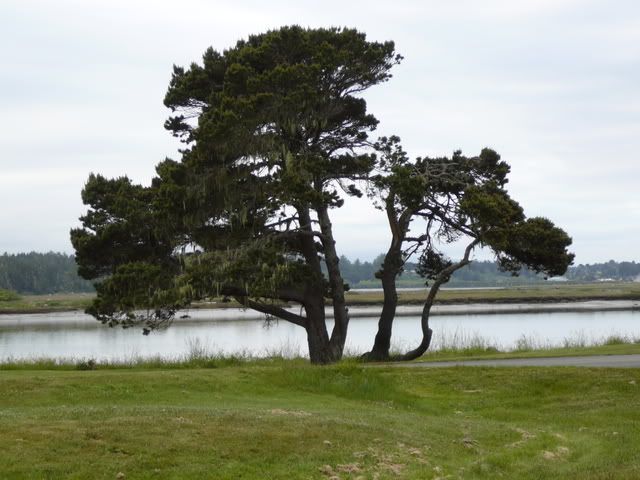 Coquille River