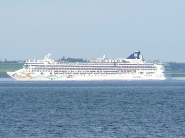 Cruise 1