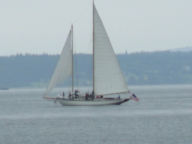 Sail 10