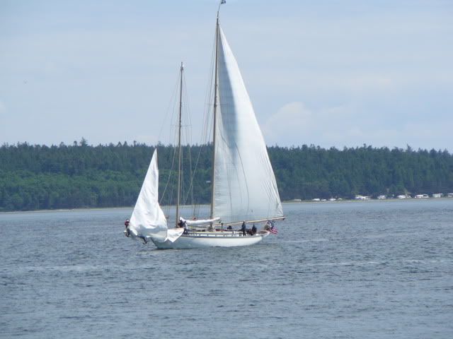 Sail 2