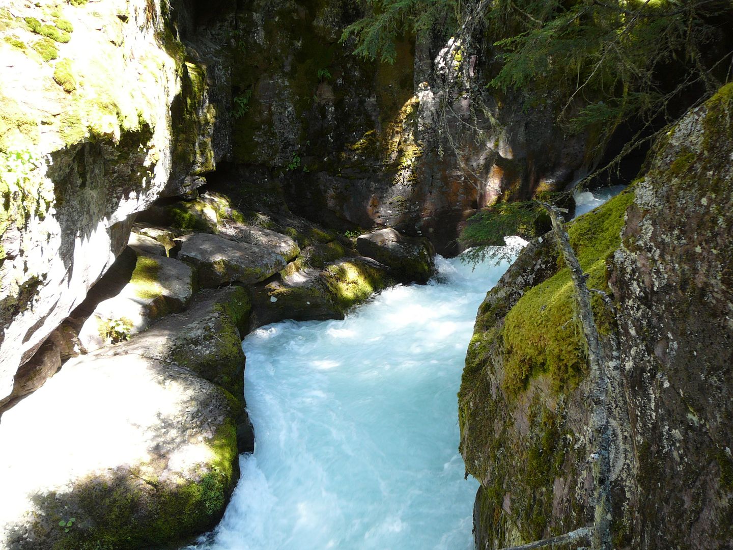 Avalanche Creek 1