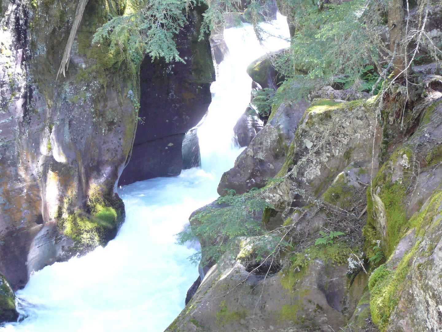 Avalanche Creek 2