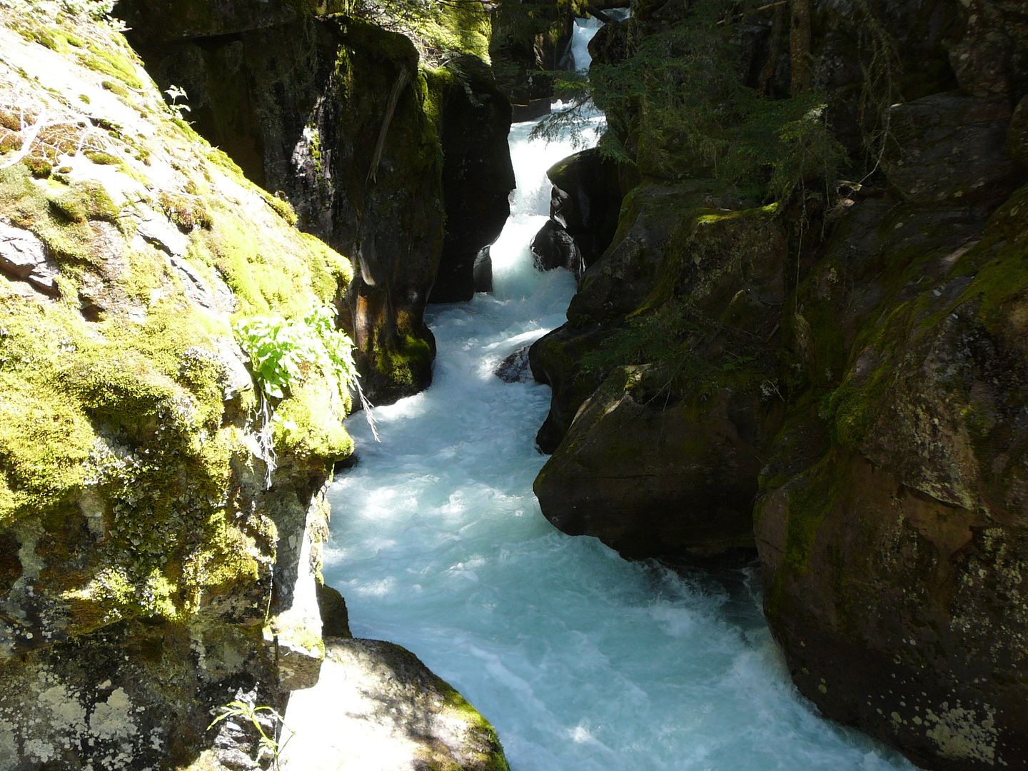 Avalanche Creek 3