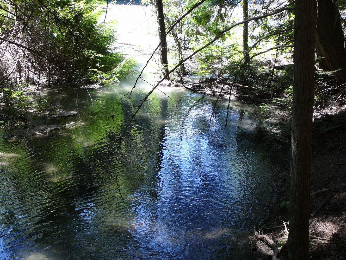 Water Pool