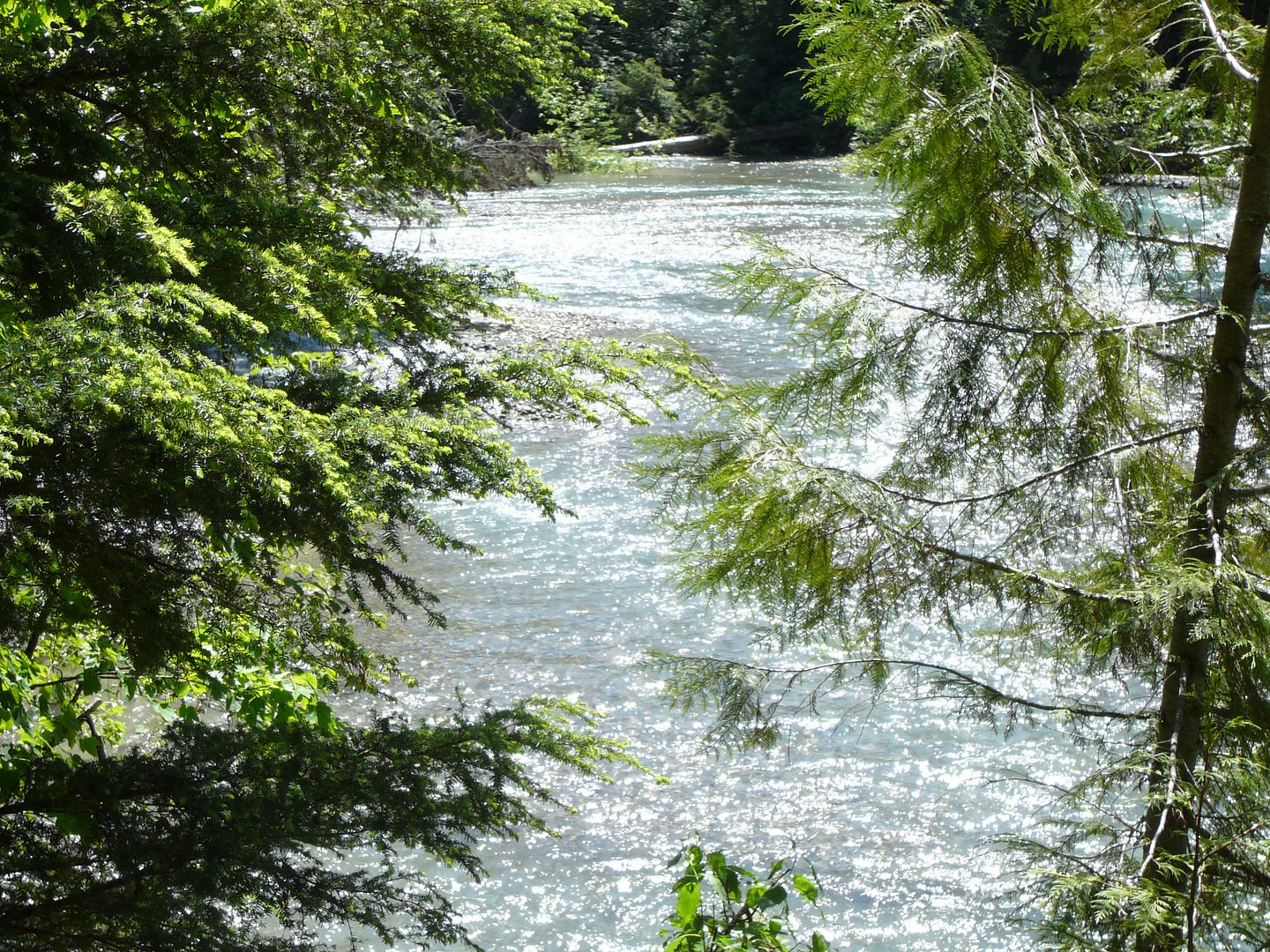 Avalanche Creek 4