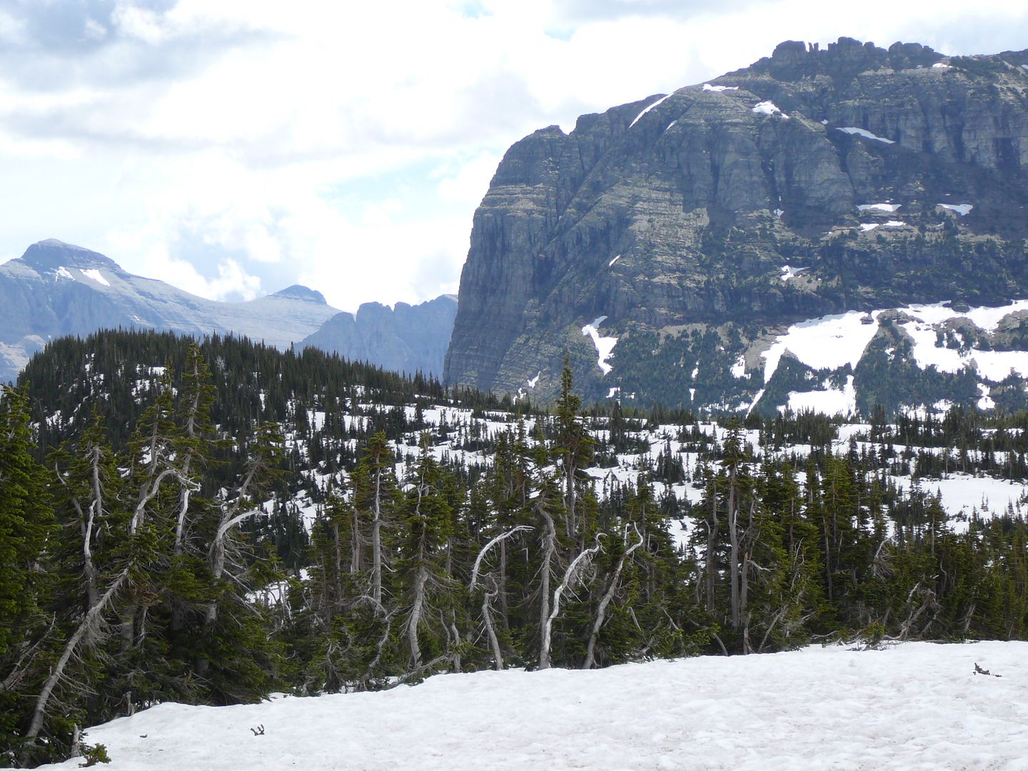 Logan Pass 6