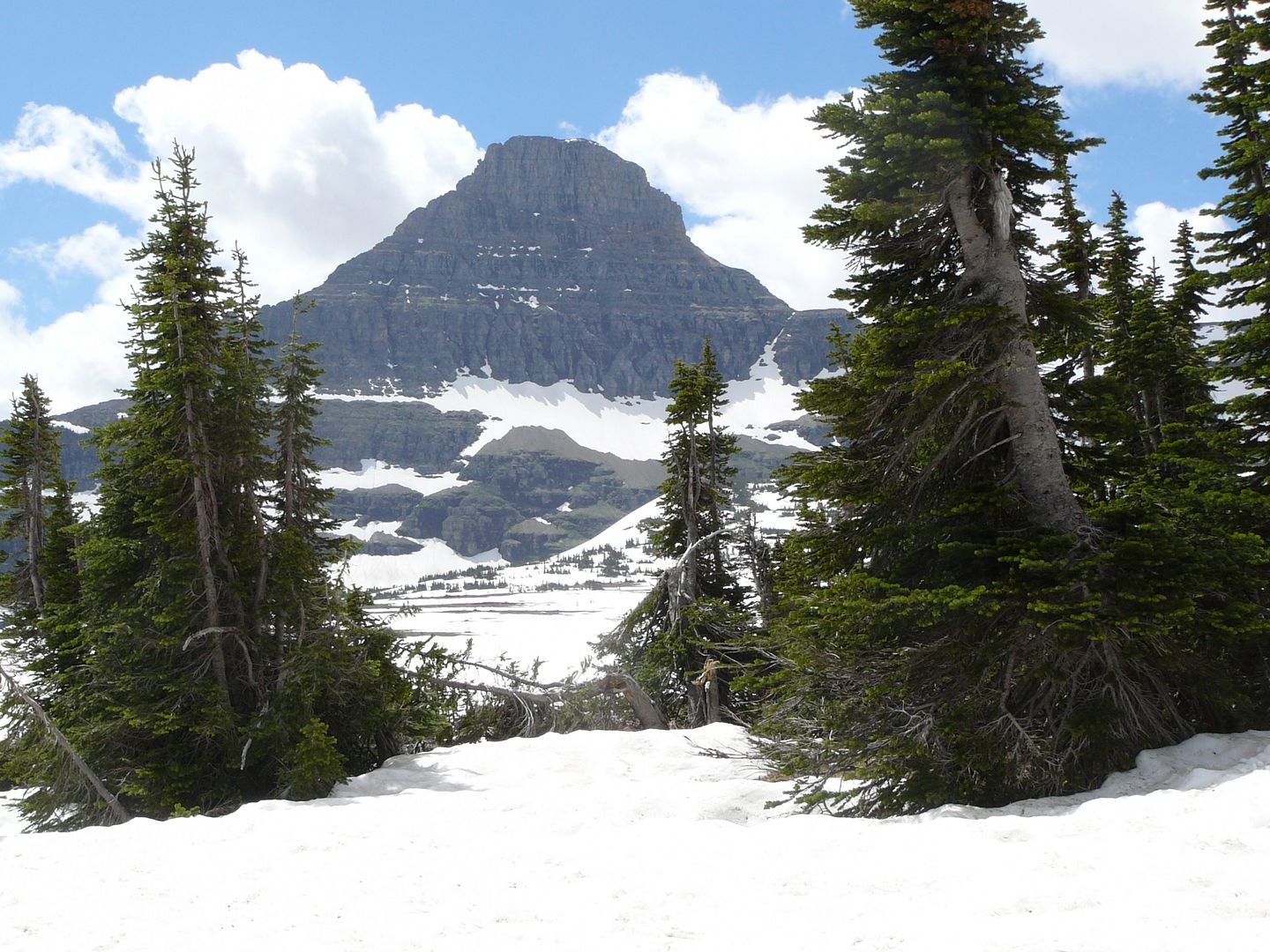 Logan Pass 7