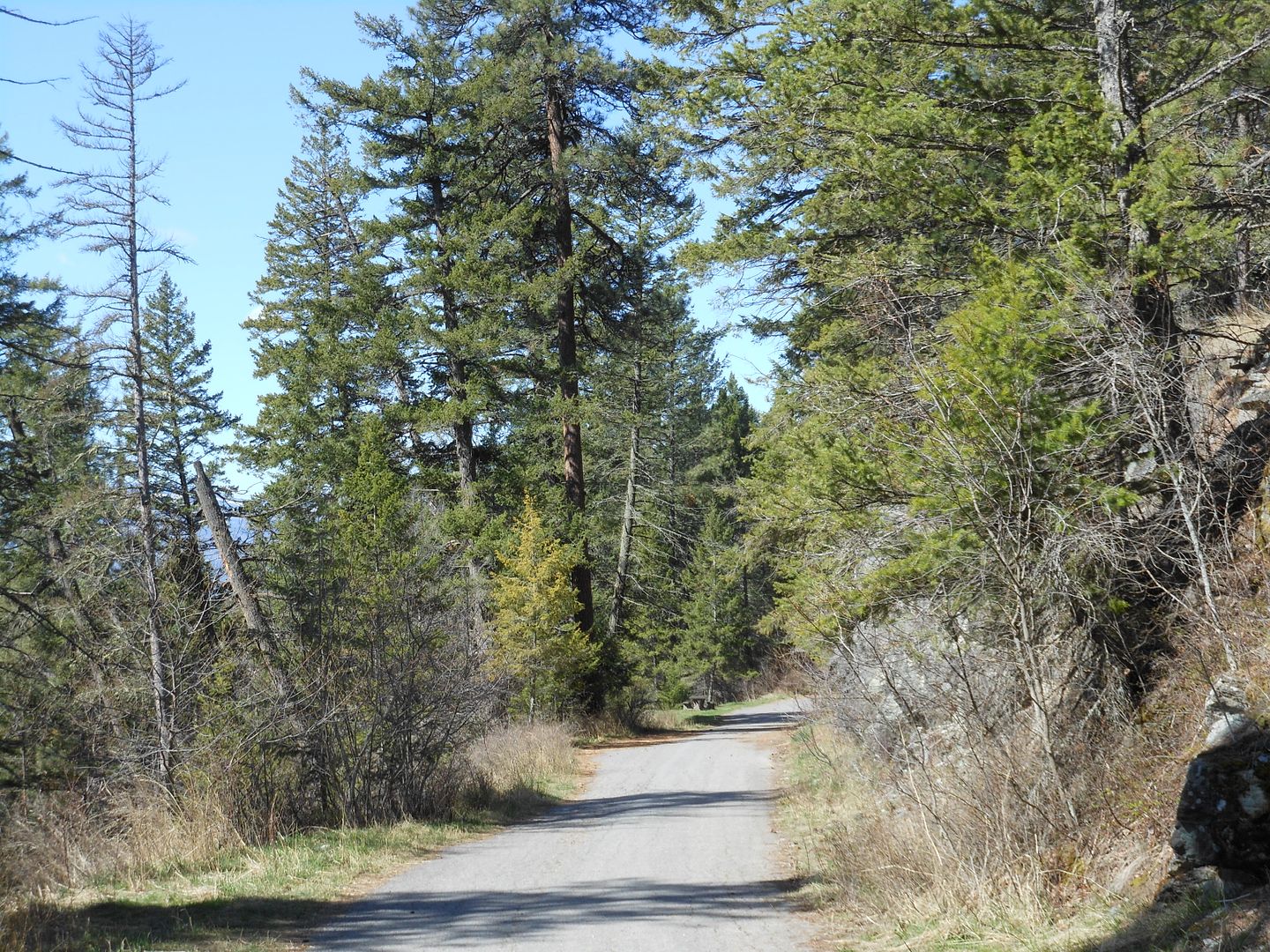 Trail 451