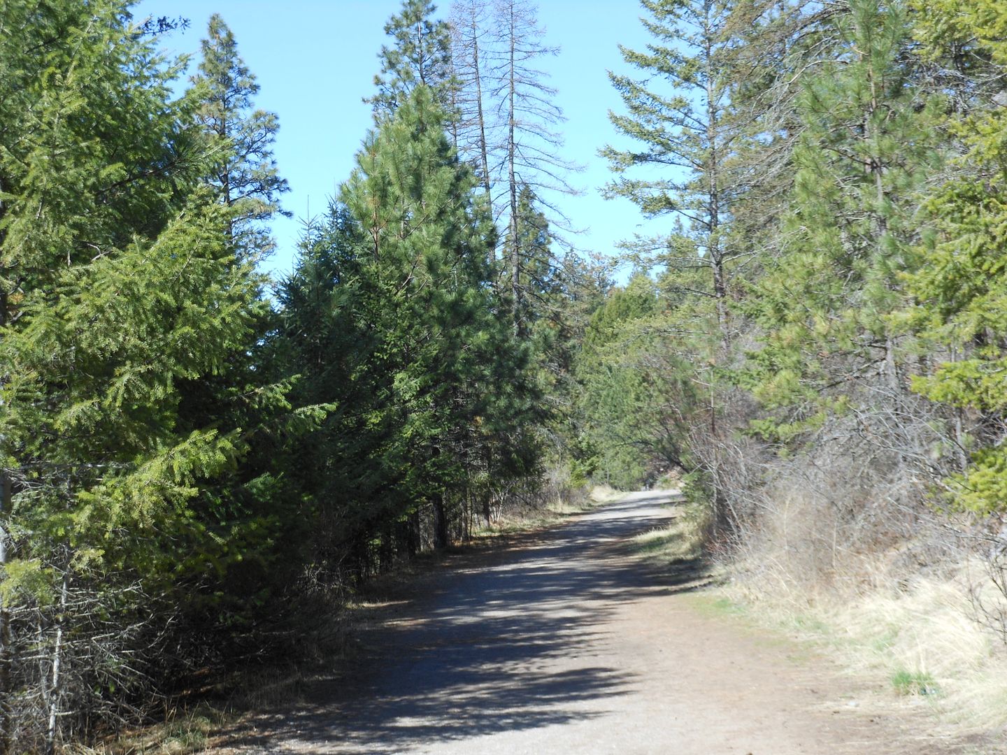 Trail 463