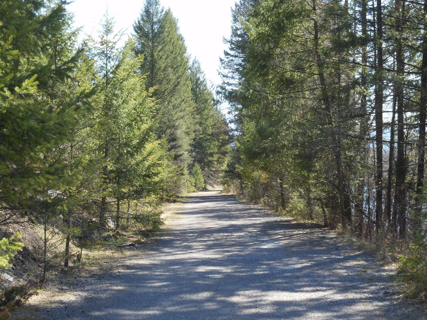 Trail 488