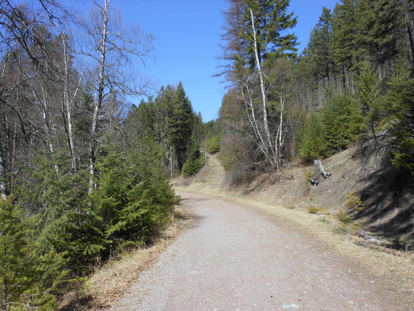 Trail 510