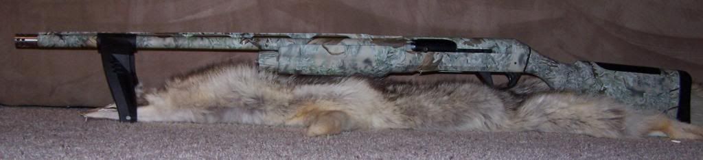 camoguns0033.jpg