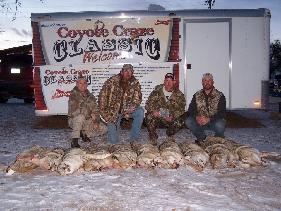 coyotecraze201112.jpg