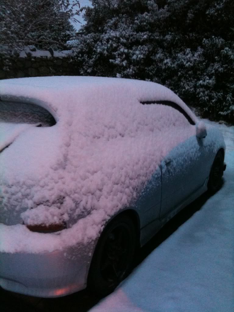 snow013.jpg
