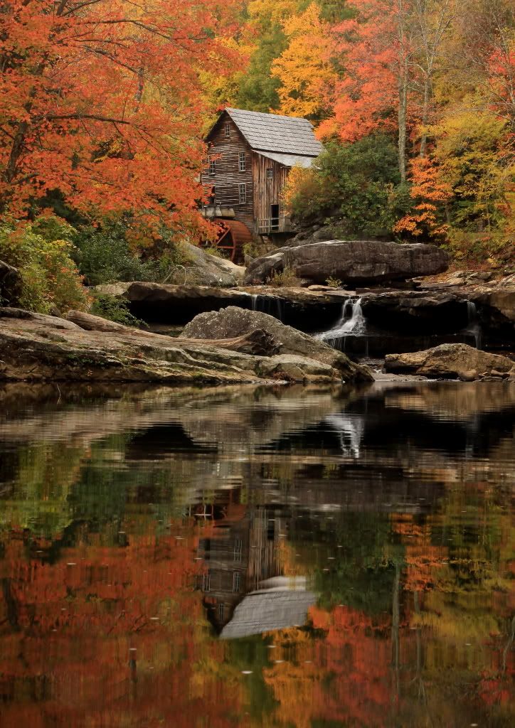 IMAGE: http://i821.photobucket.com/albums/zz140/Seramaman/Babcock2.jpg