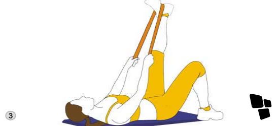 Alongamento Muscular