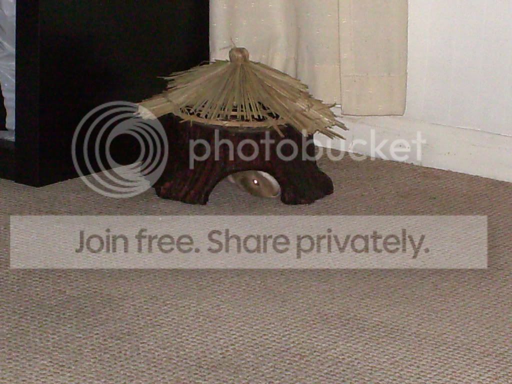 general209.jpg