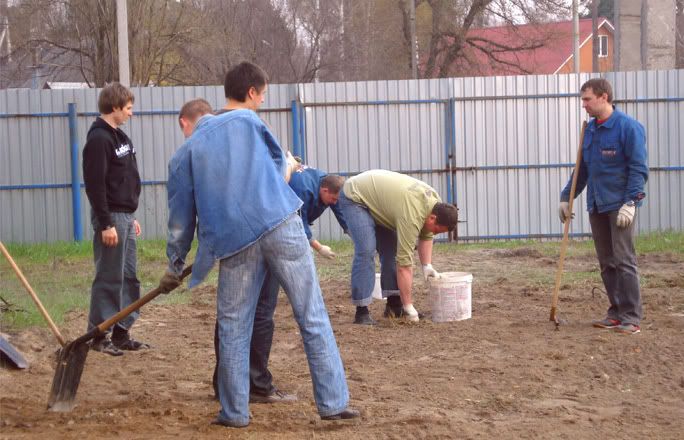 kartoshka-voleybol